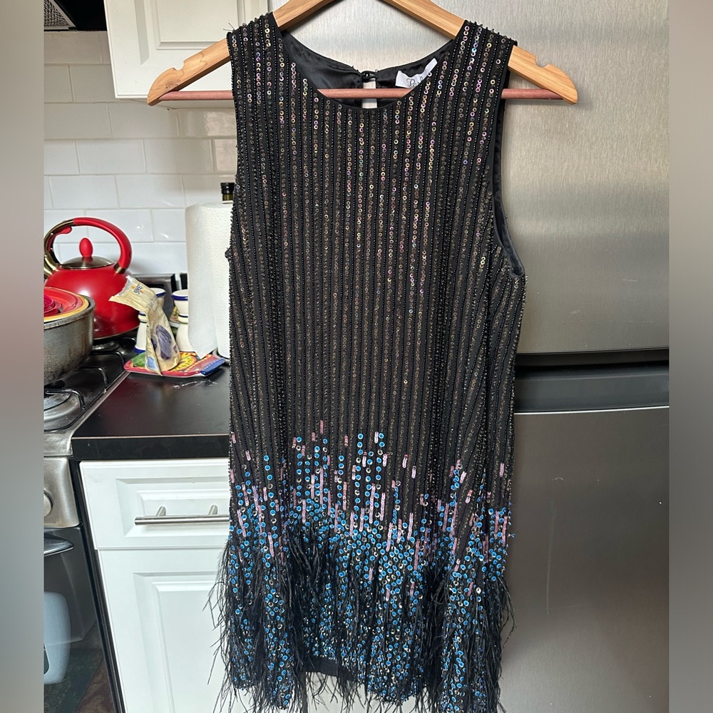 Flapper dress, brand new